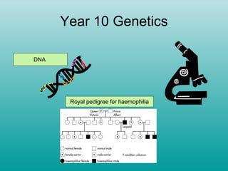 Year 10 Genetics DNA  Royal pedigree for haemophilia 