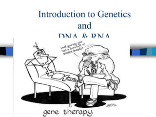Introduction to Genetics
and
DNA & RNA
 