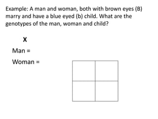 Genetics_Powerpoint.pptx