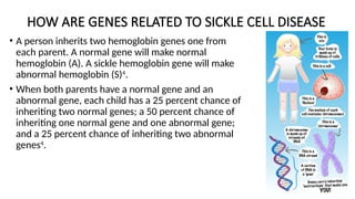 HOW ARE GENES RELATED TO SICKLE CELL DISEASE
• A person inherits two hemoglobin genes one from
each parent. A normal gene will make normal
hemoglobin (A). A sickle hemoglobin gene will make
abnormal hemoglobin (S)4
.
• When both parents have a normal gene and an
abnormal gene, each child has a 25 percent chance of
inheriting two normal genes; a 50 percent chance of
inheriting one normal gene and one abnormal gene;
and a 25 percent chance of inheriting two abnormal
genes4
.
 