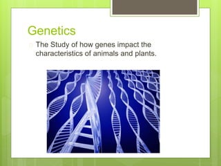 Genetics pp | PPTX