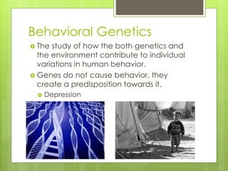 Genetics pp | PPTX