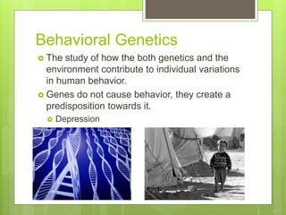 Genetics pp | PPTX