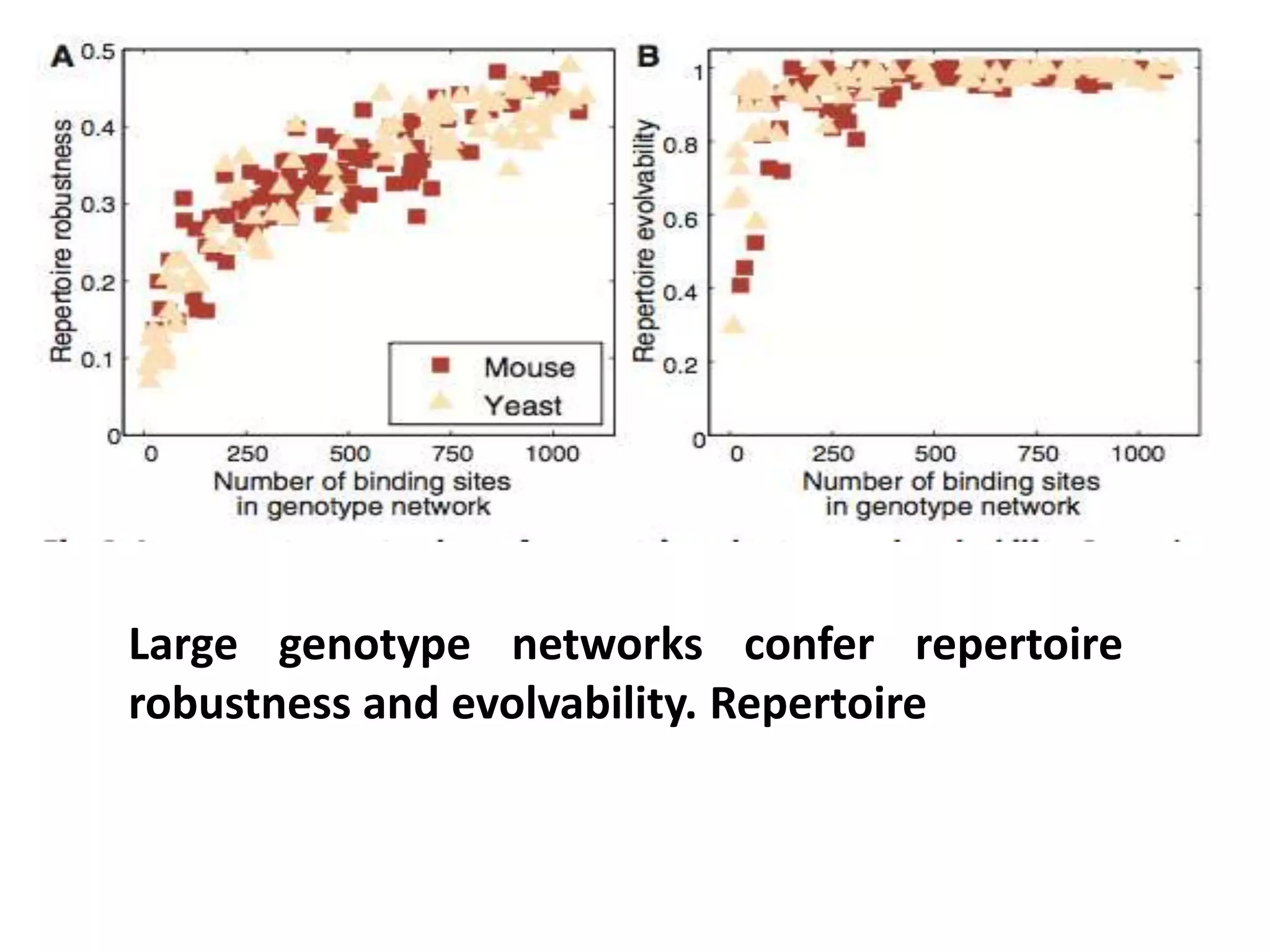 Large genotype networks confer repertoire
robustness and evolvability. Repertoire
 