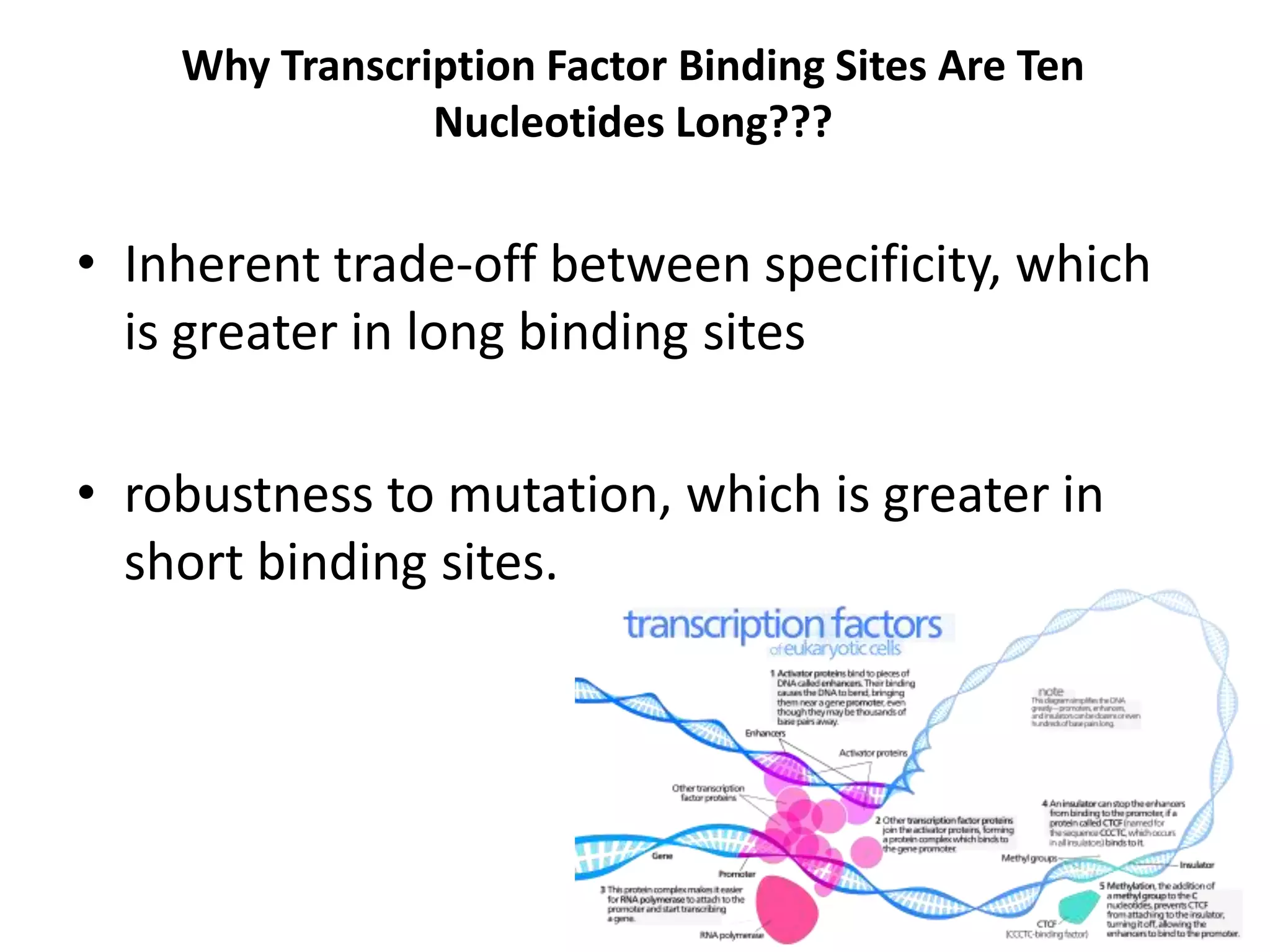 Why Transcription Factor Binding Sites Are Ten
Nucleotides Long???
• Inherent trade-off between specificity, which
is greater in long binding sites
• robustness to mutation, which is greater in
short binding sites.
 