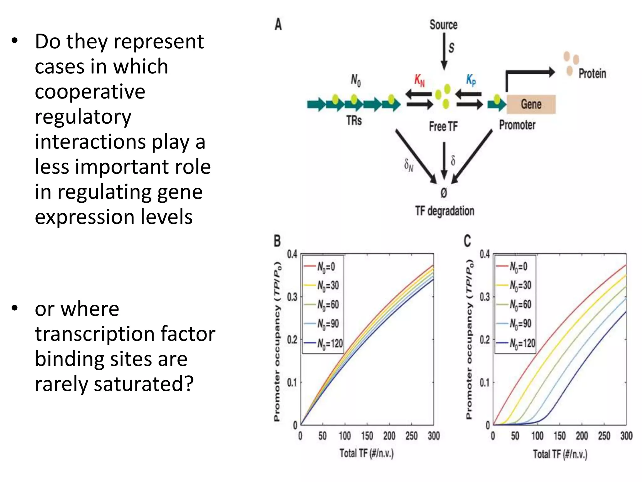 • Do they represent
cases in which
cooperative
regulatory
interactions play a
less important role
in regulating gene
expression levels
• or where
transcription factor
binding sites are
rarely saturated?
 