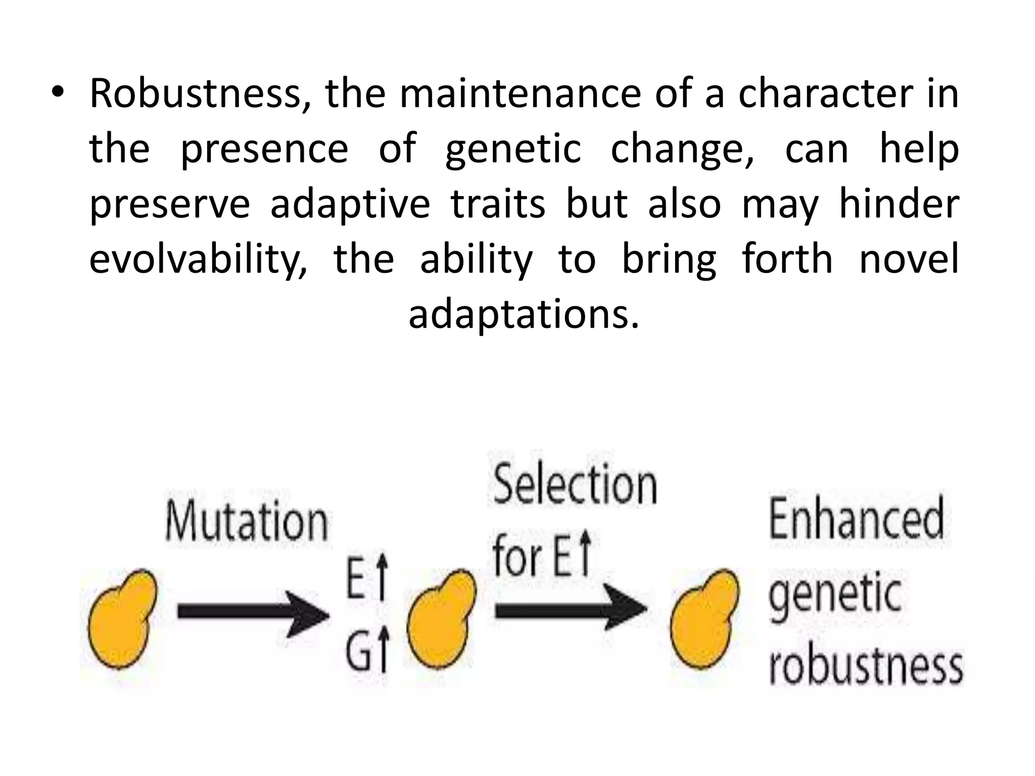• Robustness, the maintenance of a character in
the presence of genetic change, can help
preserve adaptive traits but also may hinder
evolvability, the ability to bring forth novel
adaptations.
 