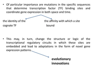 The Robustness and Evolvability of Transcription Factor Binding Sites ...