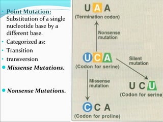 Genetics | PPT