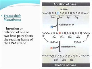 Genetics | PPT