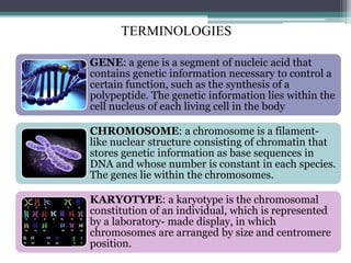 TERMINOLOGIES
GENE: a gene is a segment of nucleic acid that
contains genetic information necessary to control a
certain function, such as the synthesis of a
polypeptide. The genetic information lies within the
cell nucleus of each living cell in the body
CHROMOSOME: a chromosome is a filament-
like nuclear structure consisting of chromatin that
stores genetic information as base sequences in
DNA and whose number is constant in each species.
The genes lie within the chromosomes.
KARYOTYPE: a karyotype is the chromosomal
constitution of an individual, which is represented
by a laboratory- made display, in which
chromosomes are arranged by size and centromere
position.
 
