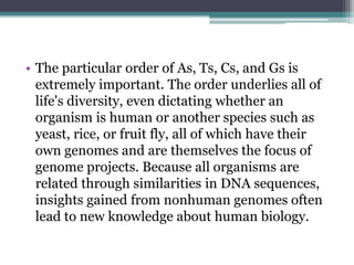 • The particular order of As, Ts, Cs, and Gs is
extremely important. The order underlies all of
life's diversity, even dictating whether an
organism is human or another species such as
yeast, rice, or fruit fly, all of which have their
own genomes and are themselves the focus of
genome projects. Because all organisms are
related through similarities in DNA sequences,
insights gained from nonhuman genomes often
lead to new knowledge about human biology.
 