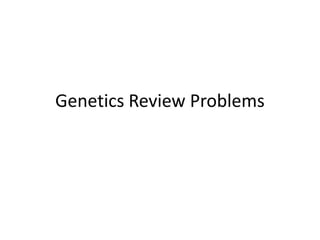 Genetics Review Problems 