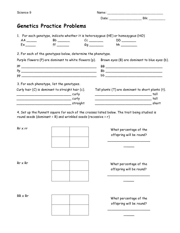 Genetics Problems Worksheet Answer Key