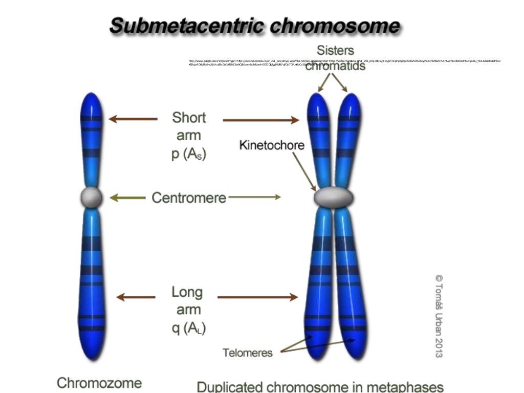 Chromosomal Disorders