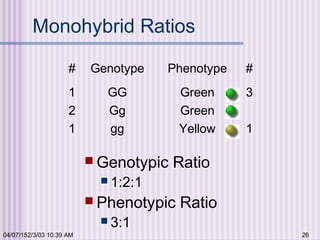04/07/152/3/03 10:39 AM 26
Monohybrid Ratios
 Genotypic Ratio
 1:2:1
 Phenotypic Ratio
 3:1
# Genotype Phenotype #
1 GG Green 3
2 Gg Green
1 gg Yellow 1
 
