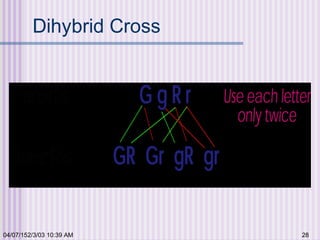 04/07/152/3/03 10:39 AM 28
Dihybrid Cross
 