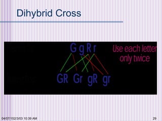 04/07/152/3/03 10:39 AM 29
Dihybrid Cross
 