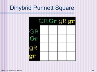 04/07/152/3/03 10:39 AM 30
Dihybrid Punnett Square
 