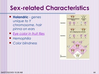 04/07/152/3/03 10:39 AM 44
Sex-related Characteristics
 Holandric - genes
unique to Y
chromosome, hair
pinna on ears
 Eye color in fruit flies
 Hemophilia
 Color blindness
 
