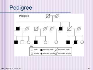 04/07/152/3/03 10:39 AM 47
Pedigree
 