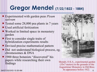 04/07/152/3/03 10:39 AM 5
Gregor Mendel (7/22/1822 - 1884)
 Experimented with garden peas Pisum
sativum
 Tested some 28,000 pea plants in 7 years
 Used artificial feritization
 Worked in limited space in monastery
garden
 First to consider single traits of
hybridization experiments results
 Devised precise mathematical pattern
 Did not understand biological process, eg.
chromosomes & DNA
 1900 three botanists “discovered” his
papers while researching their own
findings
Mendel, O.S.A., experimental garden
(35x7 meters) in the grounds of the
Augustinian Monastery in Old Brno.
Its appearance before 1922.
 