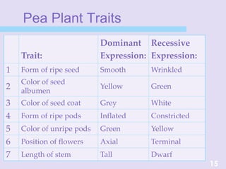 Pea Plant Traits
Trait:
Dominant
Expression:
Recessive
Expression:
1 Form of ripe seed Smooth Wrinkled
2
Color of seed
albumen
Yellow Green
3 Color of seed coat Grey White
4 Form of ripe pods Inflated Constricted
5 Color of unripe pods Green Yellow
6 Position of flowers Axial Terminal
7 Length of stem Tall Dwarf
15
 