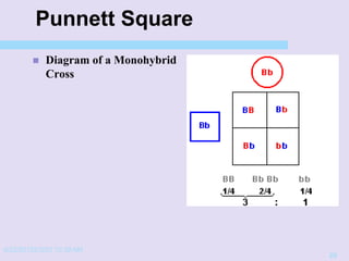 4/22/20152/3/03 10:39 AM
20
Punnett Square
 Diagram of a Monohybrid
Cross
 