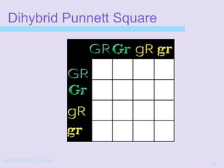 4/22/20152/3/03 10:39 AM
27
Dihybrid Punnett Square
 