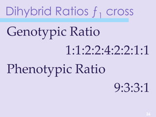 Dihybrid Ratios ƒ1 cross
Genotypic Ratio
1:1:2:2:4:2:2:1:1
Phenotypic Ratio
9:3:3:1
36
 