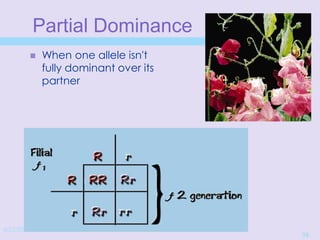 4/22/20152/3/03 10:39 AM
39
Partial Dominance
 When one allele isn't
fully dominant over its
partner
 