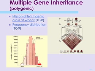 43
Multiple Gene Inheritance
(polygenic)
 Nilsson-Ehle's trigenic
cross of wheat (10-8)
 Frequency distribution
(10-9)
 