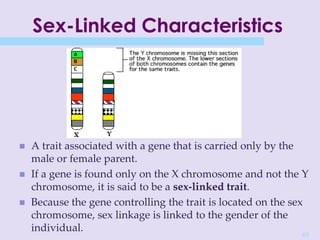 45
Sex-Linked Characteristics
 A trait associated with a gene that is carried only by the
male or female parent.
 If a gene is found only on the X chromosome and not the Y
chromosome, it is said to be a sex-linked trait.
 Because the gene controlling the trait is located on the sex
chromosome, sex linkage is linked to the gender of the
individual.
 