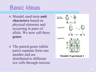 4/22/20152/3/03 10:39 AM
9
Basic Ideas
 Mendel used term unit
characters based on
physical elements and
occurring in pairs of
allele. We now call these
genes.
 The paired genes (allele
pairs) separate form one
another and are
distributed to different
sex cells through meiosis
9
 