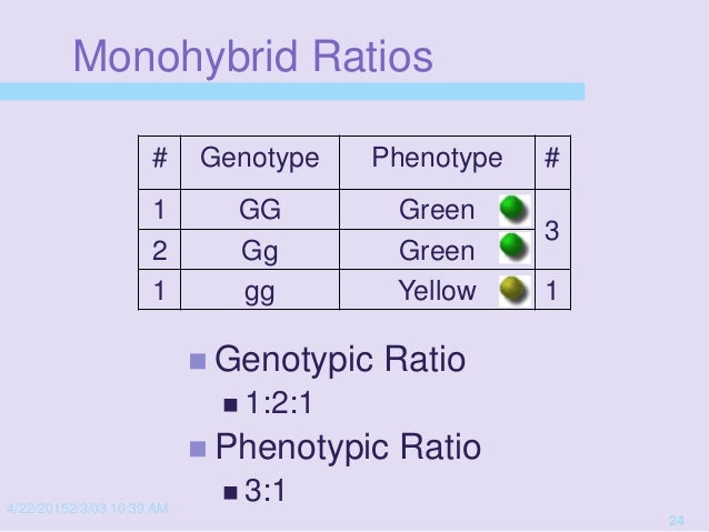 Genetics Presentation 15