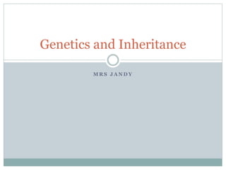 M R S J A N D Y
Genetics and Inheritance
 