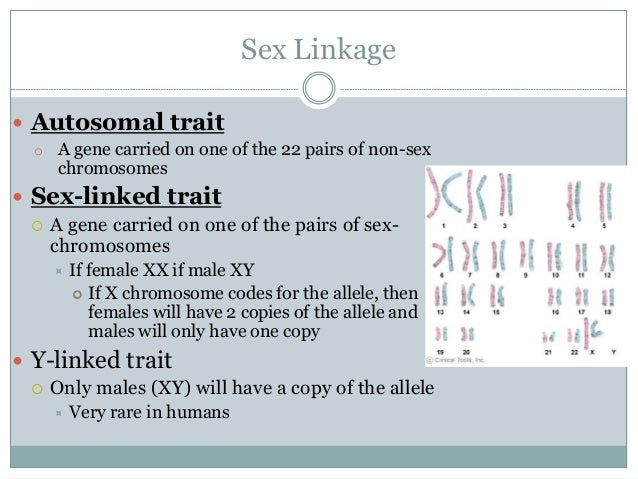 genetics and inheritance venn diagram of single gene traits and polygenic traits