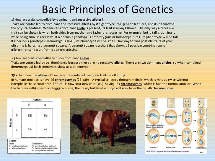 Principle of Genetics