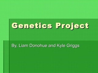 Genetics Project By, Liam Donohue and Kyle Griggs 