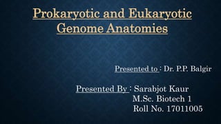 Prokaryotic and Eukaryotic
Genome Anatomies
Presented to : Dr. P.P. Balgir
Presented By : Sarabjot Kaur
M.Sc. Biotech 1
Roll No. 170110051
 