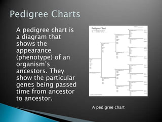 Pedigree Charts	A pedigree chart is a diagram that shows the appearance (phenotype) of an organism’s ancestors. They show the particular genes being passed time from ancestor to ancestor. A pedigree chart