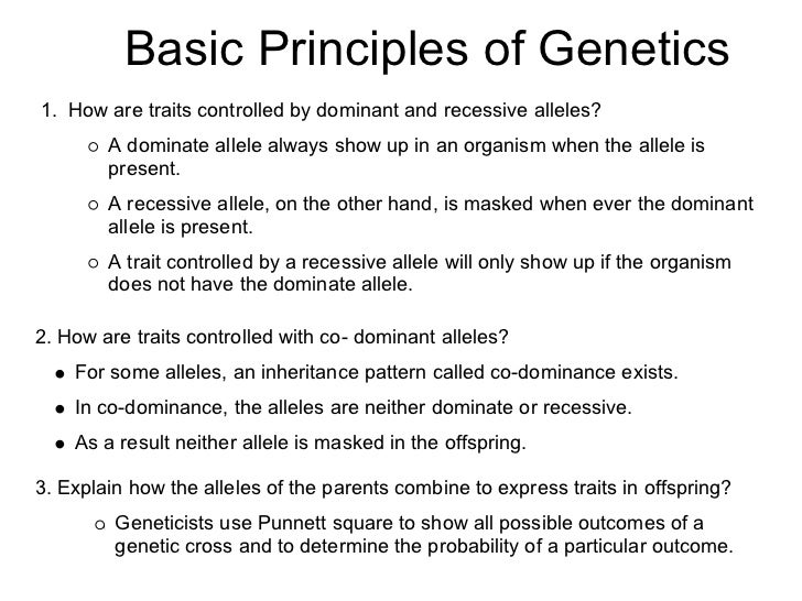 research template_1_