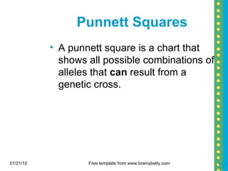 Punnett Squares A punnett square is a chart that shows all possible combinations of alleles that  can  result from a genetic cross. 01/21/12 Free template from www.brainybetty.com 