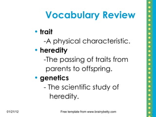 Vocabulary Review trait -A physical characteristic. heredity -The passing of traits from parents to offspring. genetics - The scientific study of  heredity. 01/21/12 Free template from www.brainybetty.com 