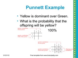 Punnett Example Yellow is dominant over Green. What is the probability that the offspring will be yellow? 100% 01/21/12 Free template from www.brainybetty.com 