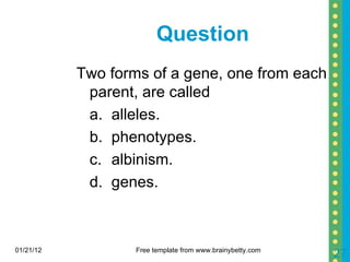 Question Two forms of a gene, one from each parent, are called a. alleles. b. phenotypes. c. albinism. d. genes. 01/21/12 Free template from www.brainybetty.com 