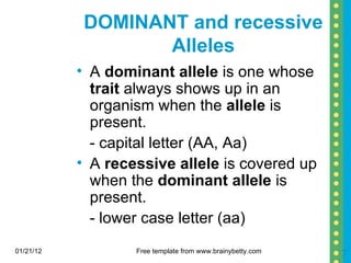 DOMINANT and recessive Alleles A  dominant allele  is one whose  trait  always shows up in an organism when the  allele  is present. - capital letter (AA, Aa) A  recessive allele  is covered up when the  dominant allele  is present. - lower case letter (aa) 01/21/12 Free template from www.brainybetty.com 
