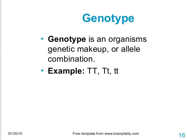 Genetics review and problems 2a