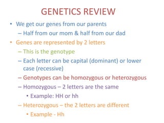GENETICS REVIEW
• We get our genes from our parents
   – Half from our mom & half from our dad
• Genes are represented by 2 letters
   – This is the genotype
   – Each letter can be capital (dominant) or lower
     case (recessive)
   – Genotypes can be homozygous or heterozygous
   – Homozygous – 2 letters are the same
      • Example: HH or hh
   – Heterozygous – the 2 letters are different
      • Example - Hh
 