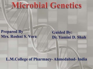 Microbial Genetics | PPTX